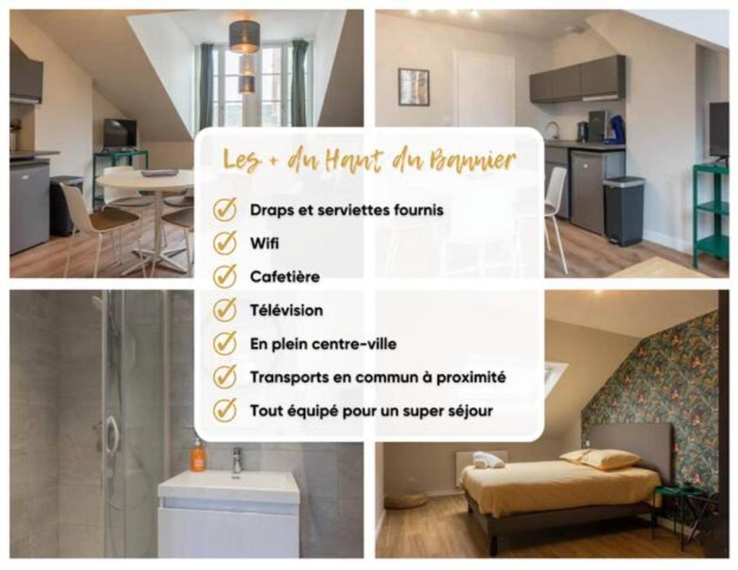 Ferienwohnung Le Haut Du Bannier * T2 * Hyper Centre * Wifi * Orléans Exterior foto